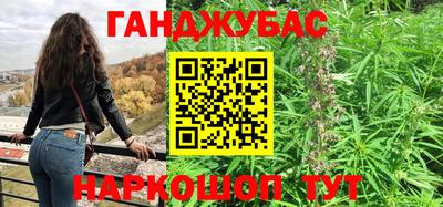 мдпв Кингисепп