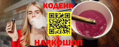 мдпв Кингисепп